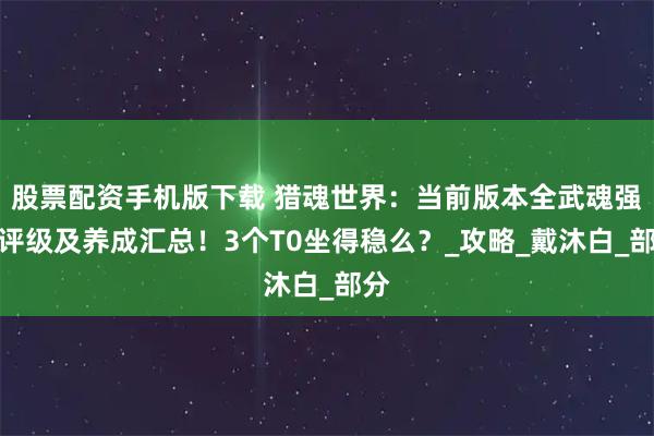 股票配资手机版下载 猎魂世界：当前版本全武魂强度评级及养成汇总！3个T0坐得稳么？_攻略_戴沐白_部分