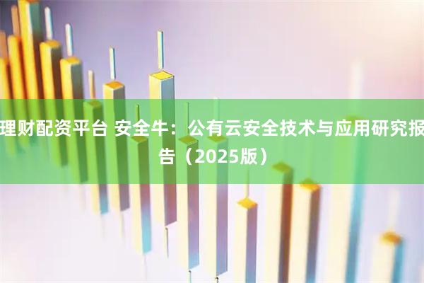 理财配资平台 安全牛：公有云安全技术与应用研究报告（2025版）