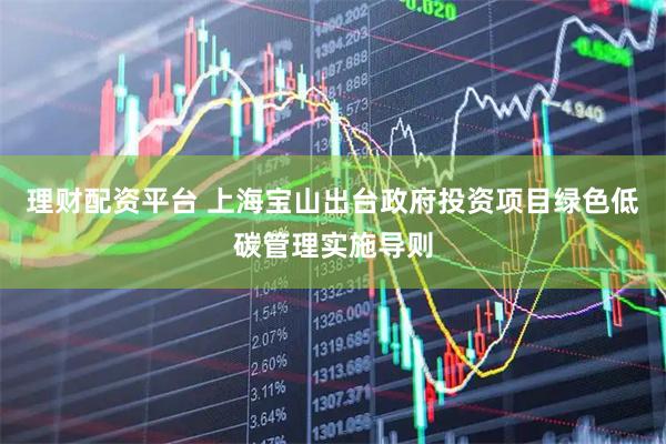 理财配资平台 上海宝山出台政府投资项目绿色低碳管理实施导则