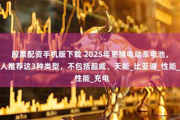 股票配资手机版下载 2025年更换电动车电池，行内人推荐这3种类型，不包括超威、天能_比亚迪_性能_充电