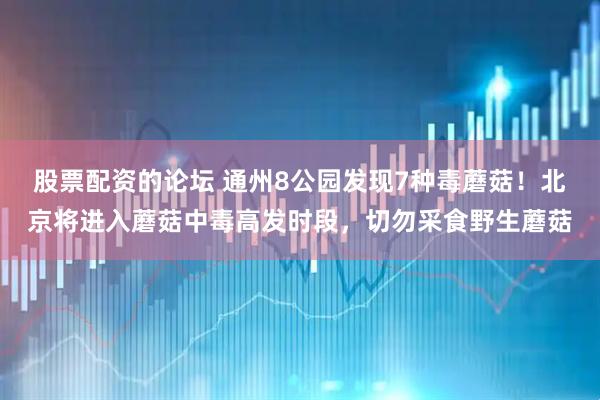 股票配资的论坛 通州8公园发现7种毒蘑菇!北京将进入蘑菇中毒高发时段,切勿采食野生蘑菇