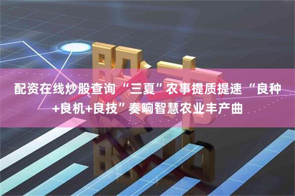 配资在线炒股查询 “三夏”农事提质提速 “良种+良机+良技”奏响智慧农业丰产曲