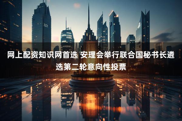 网上配资知识网首选 安理会举行联合国秘书长遴选第二轮意向性投票